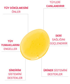 Petiola Tüy Dökülmesini Önleyici ve Tüy Sağlığını Destekleyici, Tüy Yumağı Ve Kusma Önleyici Set - Görsel 3