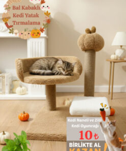 Komano Pontika Kedi Tırmalama Tahtası |Kedi Evi | Kedi Yatağı | Bal Kabaklı | Konforlu Dinlenme | Evcil Hayvan
