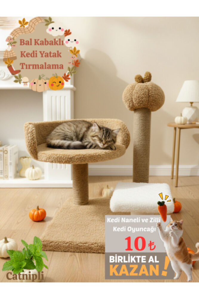 Komano Pontika Kedi Tırmalama Tahtası |Kedi Evi | Kedi Yatağı | Bal Kabaklı | Konforlu Dinlenme | Evcil Hayvan