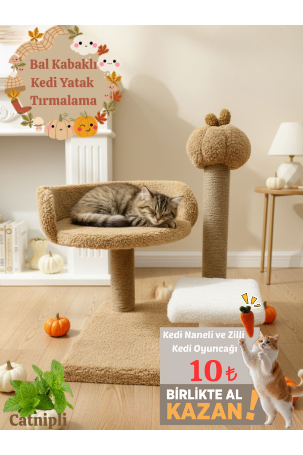 Komano Pontika Kedi Tırmalama Tahtası |Kedi Evi | Kedi Yatağı | Bal Kabaklı | Konforlu Dinlenme | Evcil Hayvan