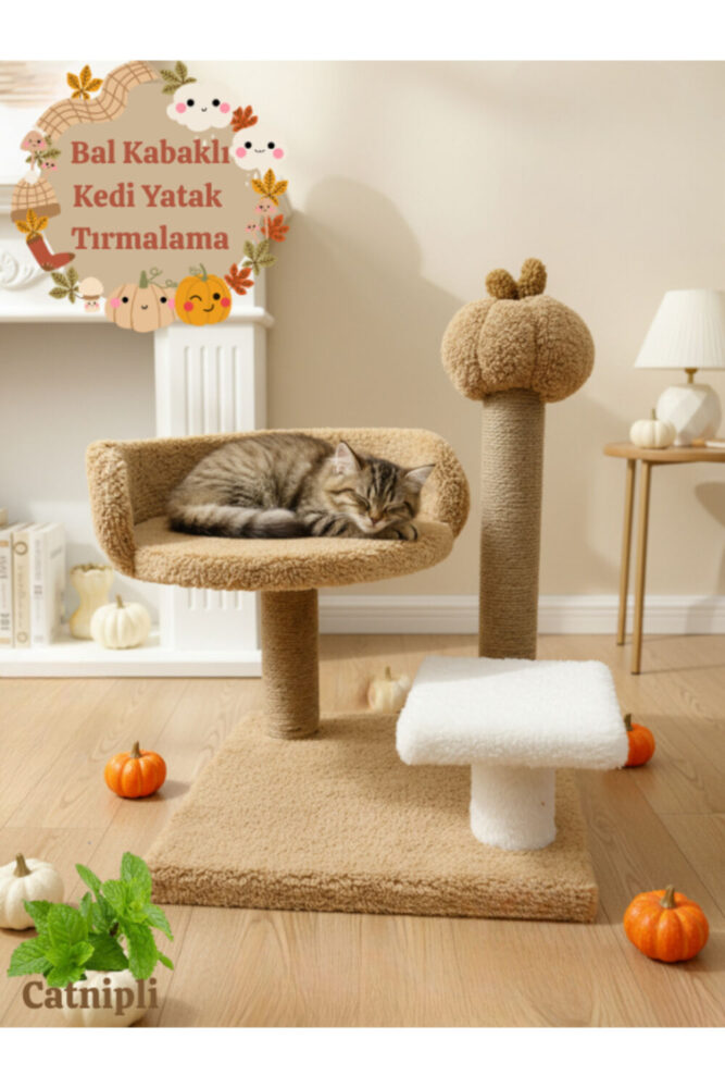 Komano Pontika Kedi Tırmalama Tahtası |Kedi Evi | Kedi Yatağı | Bal Kabaklı | Konforlu Dinlenme | Evcil Hayvan - Görsel 2