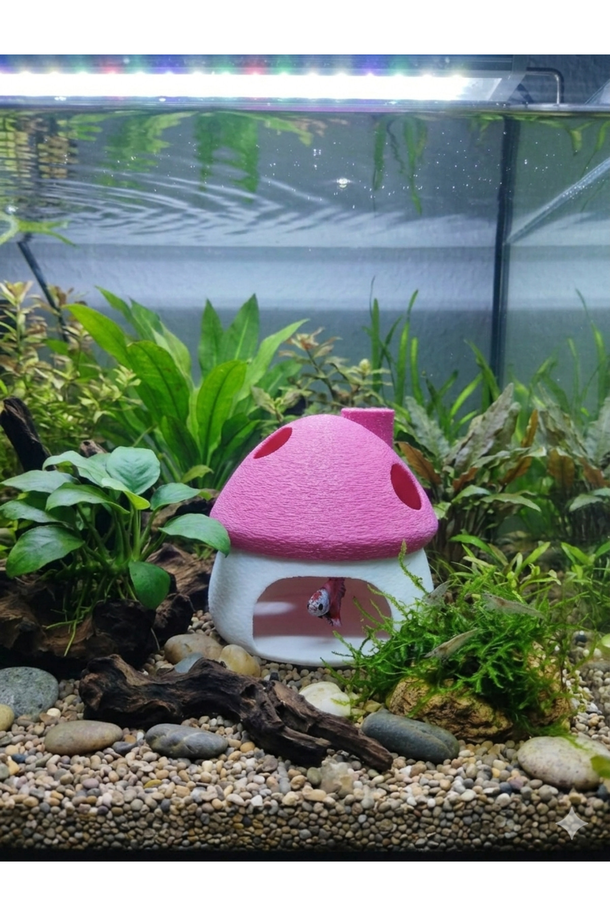 3D TasarımPembe Beyaz Mantar Ev - Akvaryum İçi Estetik Dekorasyon (8x8 cm) Suya Batan Model