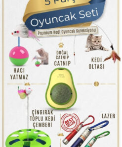 ego home 5 Parça Kedi Oyuncak Seti Oyun-Eğlence Seti Kedi Oyun Seti Çember-Lazer-Hacı Yatmaz-Catnip-Olta