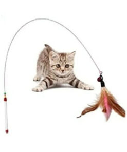 ego home 5 Parça Kedi Oyuncak Seti Oyun-Eğlence Seti Kedi Oyun Seti Çember-Lazer-Hacı Yatmaz-Catnip-Olta - Görsel 3