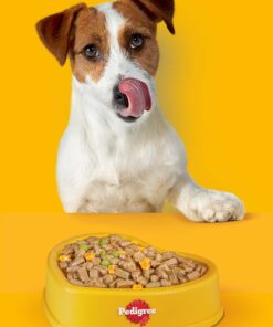 Pedigree Biscrok Köpek Ödül Bisküvisi 500 G 2x - Görsel 3