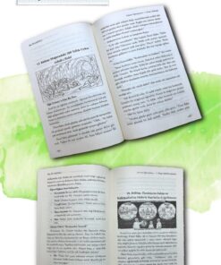 Antoloji Yayınları Dinimi Öğreniyorum - 8 Kitap - Çocuk Dini Eğitim Seti – Namaz, Peygamberimiz, İman ve Değerler - Görsel 3