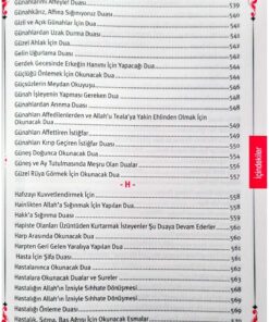 Cübbeli Ahmet Hoca Yayıncılık Alfabetik Sırlı Dualar Hazinesi Erbaini İdrisiyye ve Delailül Hayrat İlaveli - Görsel 3