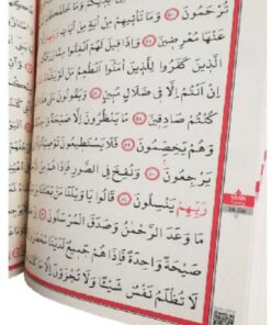 Alternative view of Ayfa Basın Yayın Kuran Okuyan Kalem Kalemli Kuranı Kerim Bluetoothlu Diyanet Onaylı 3 Yıl Garantili Ihya K. Ayracı