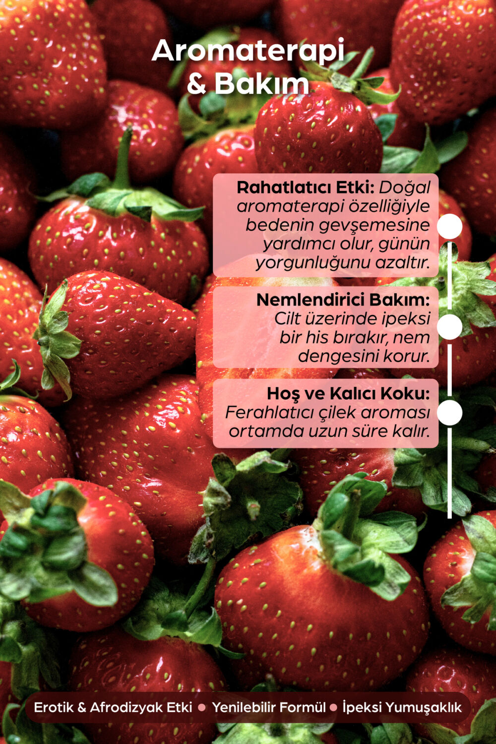 Rekze Çilekli Yenilebilir Masaj Yağı 250 ml Etkili Ve Erotica Zar Poz Çarkı Seti - Görsel 2
