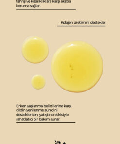 COSMED %0.5 Retinol ve Peptit İçeren Yenileyici Serum/Skinologist %0.5 RETINOL SERUM 30ML - Görsel 3