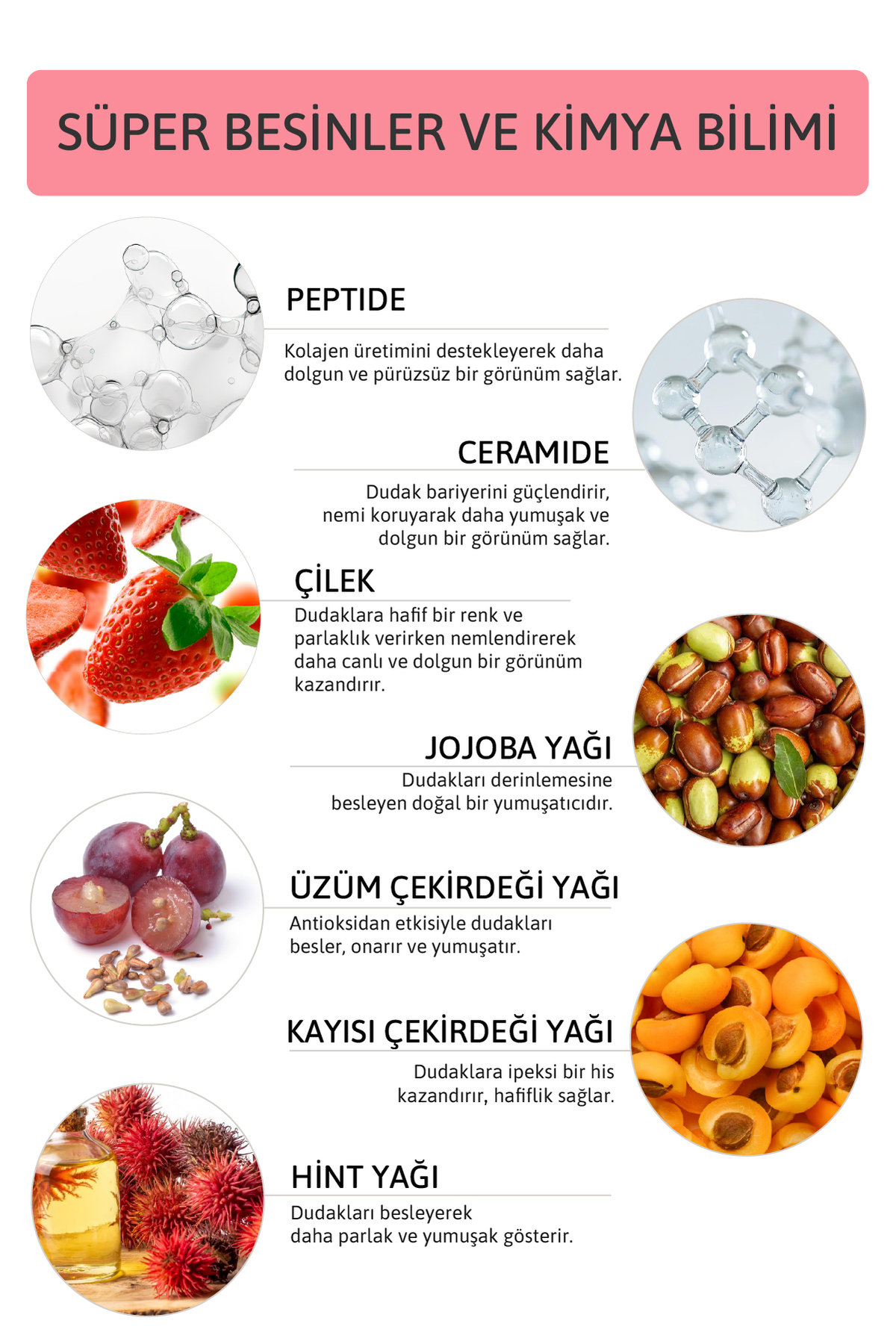 ORNATE Peptide Lip Balm Rose Strawberry, Nemlendirici, Parlatıcı Lip Balm Çilek Ceramide Vitamin E 15mL - Görsel 3