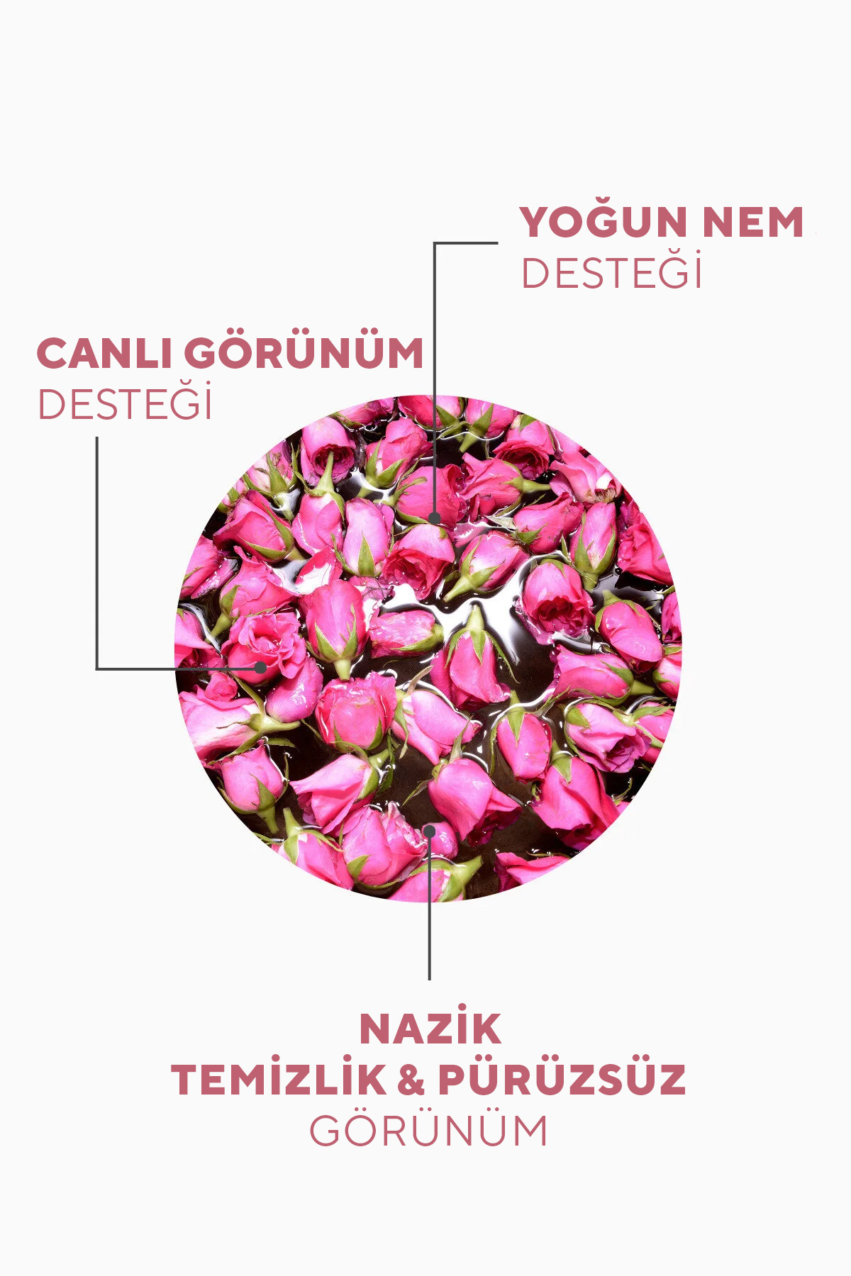 The Ceel Gözenek Sıkılaştırıcı Saf Gül Suyu Tonik Arındırıcı Etkili 100 ml - Görsel 2