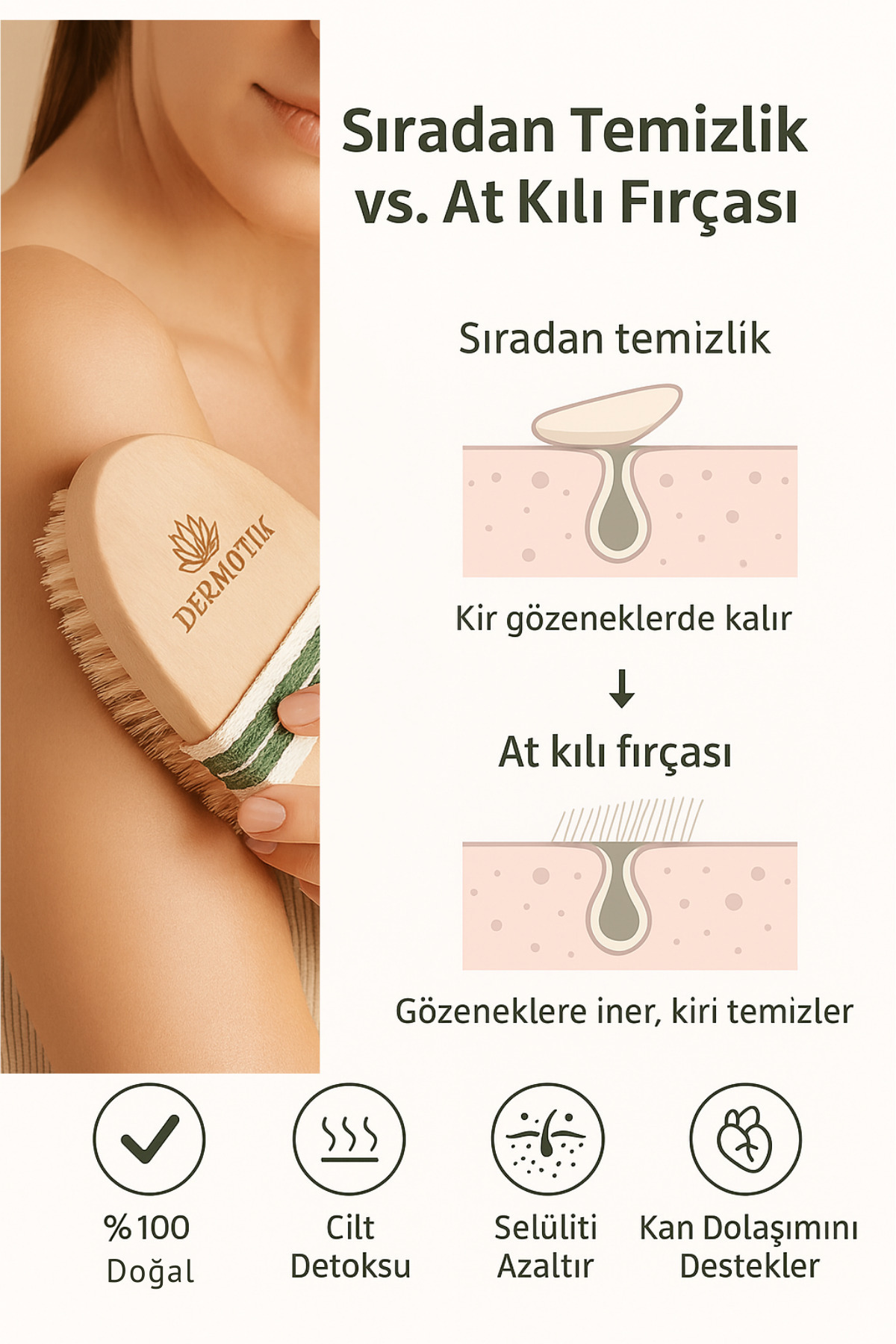 Dermotik 0 Doğal At Kılı Fırçası – Selülit ve Çatlak Karşıtı & Kuru Fırçalama, Cilt Sıkılaştırıcı Fırça - Görsel 2