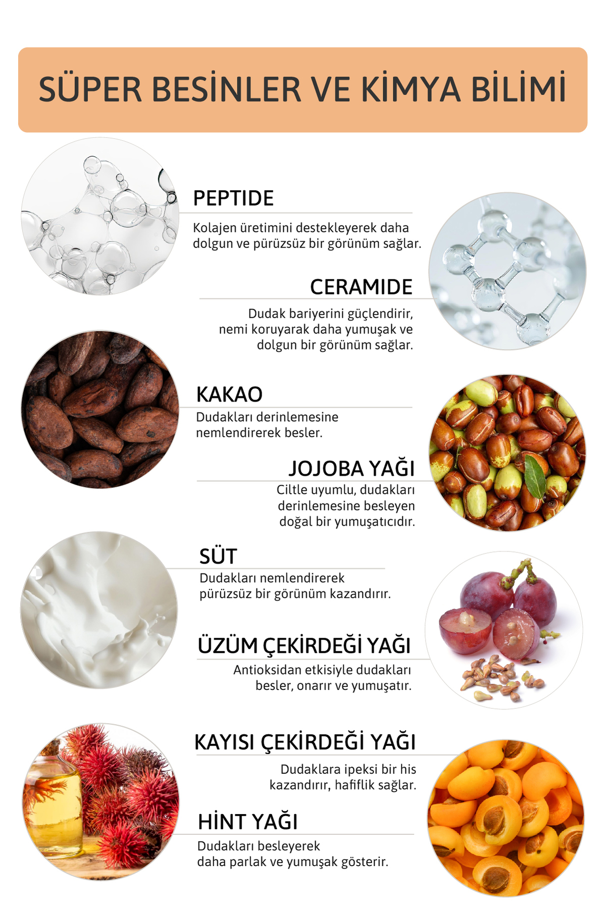 ORNATE Peptide Lip Balm Cacao Milk , Nemlendirici, Parlatıcı Lip Balm Kakao Ceramide Vitamin E 15mL - Görsel 3