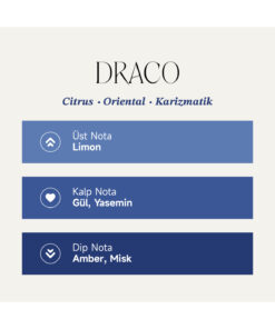 Alternative view of Mad Parfüm Mad Draco 100 ml Unisex Parfüm | Citrus . Oriental . Karizmatik