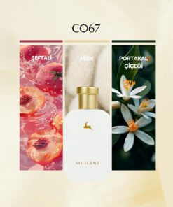 MUSCENT C067 Vallaya 50 ml.