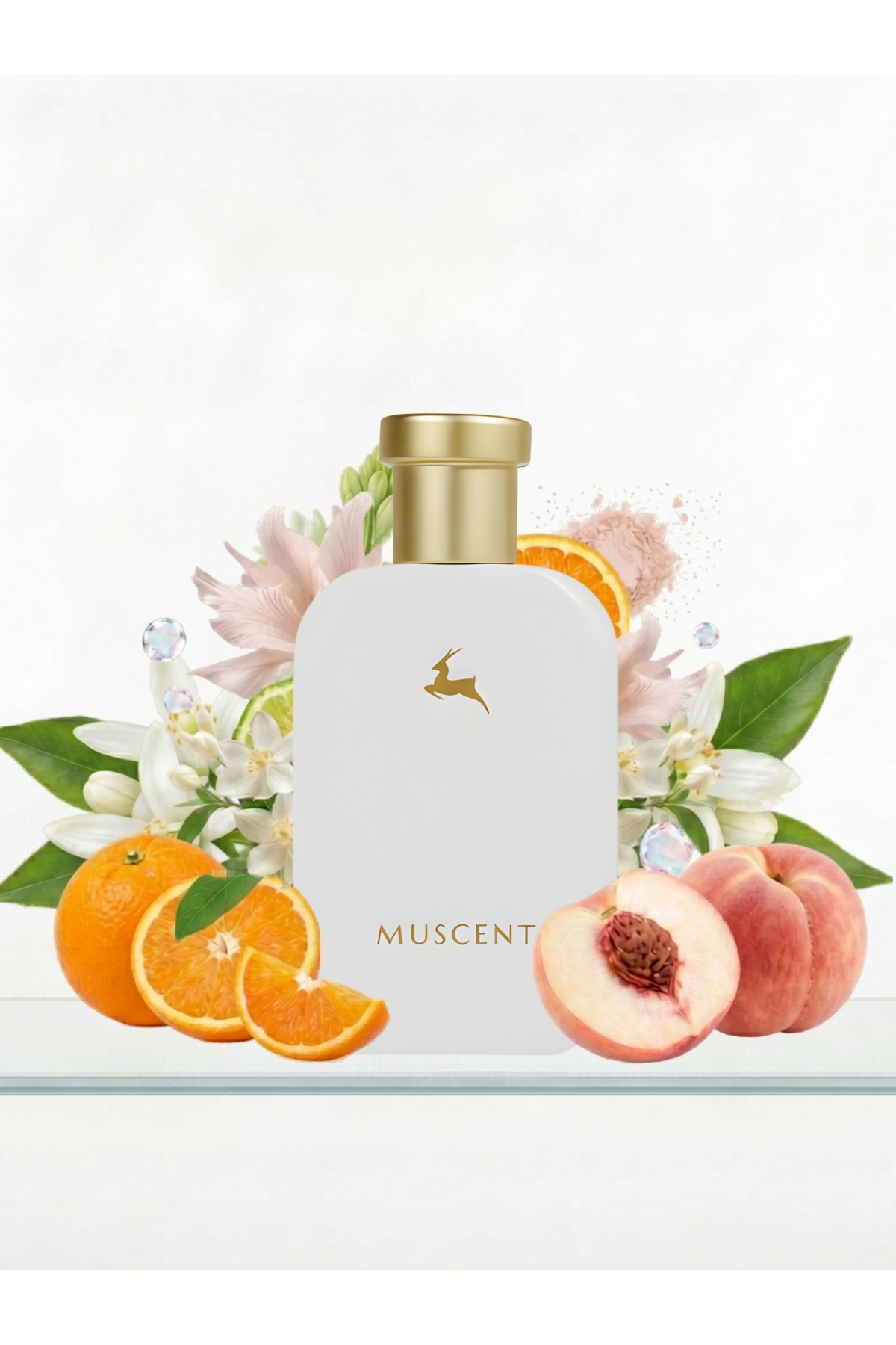 MUSCENT C067 Vallaya 50 ml. - Görsel 2