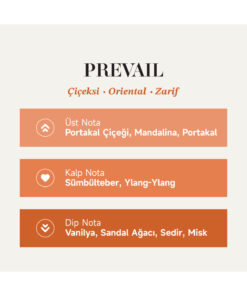 Alternative view of Mad Parfüm Mad Prevail 100 ml Kadın Parfüm | Çiçeksi . Oriental . Zarif