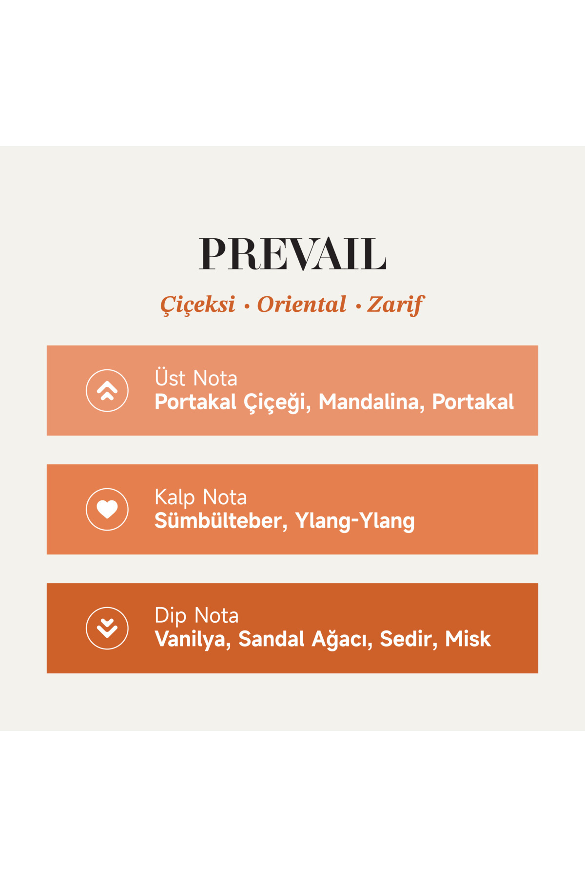 Mad Parfüm Mad Prevail 100 ml Kadın Parfüm | Çiçeksi . Oriental . Zarif - Görsel 2