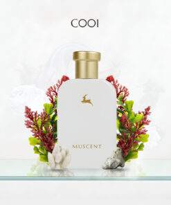 Alternative view of MUSCENT C001 Mega Amare 50 ml.
