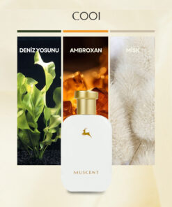 MUSCENT C001 Mega Amare 50 ml.