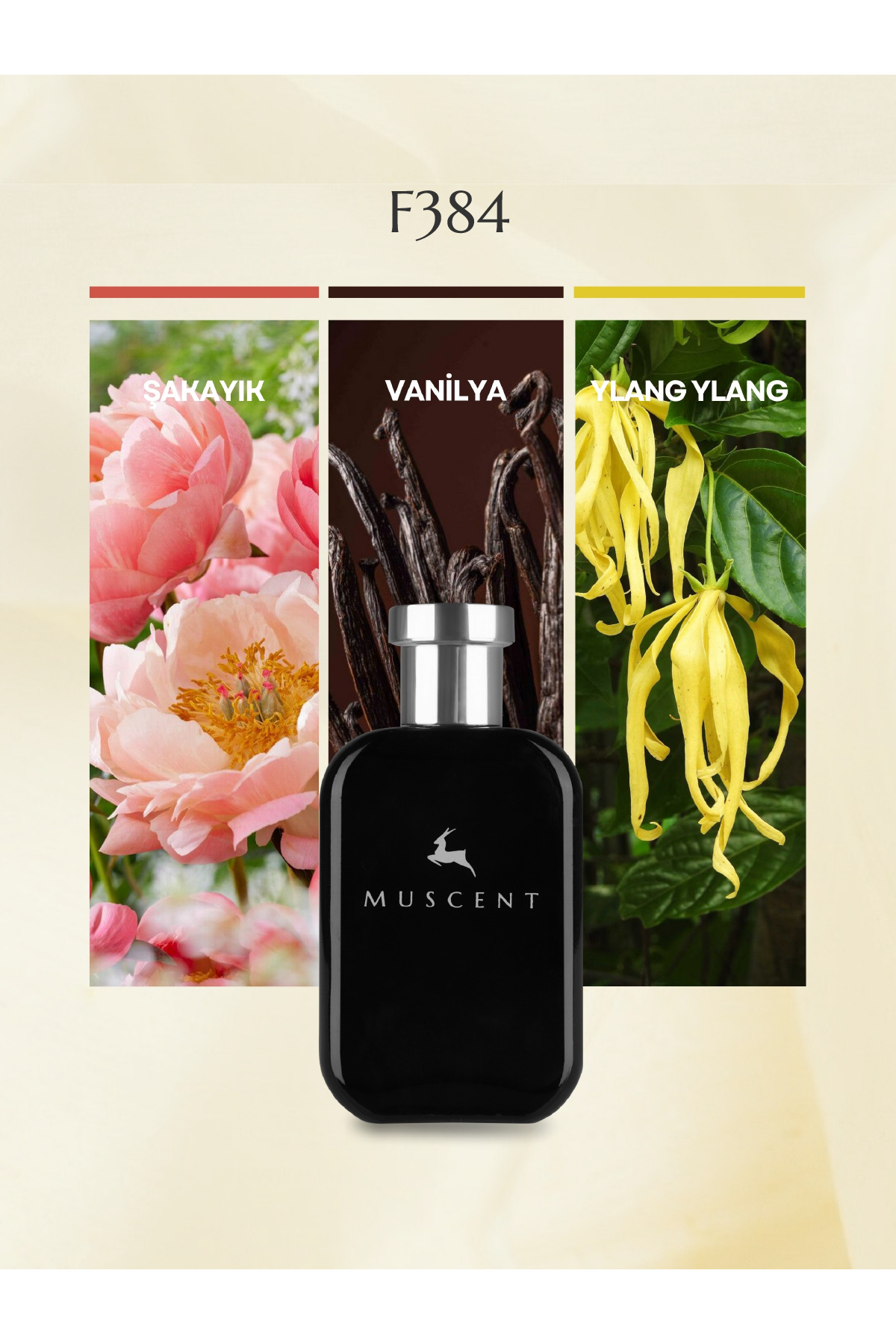 MUSCENT F384 G Girl Blush 50 ml.