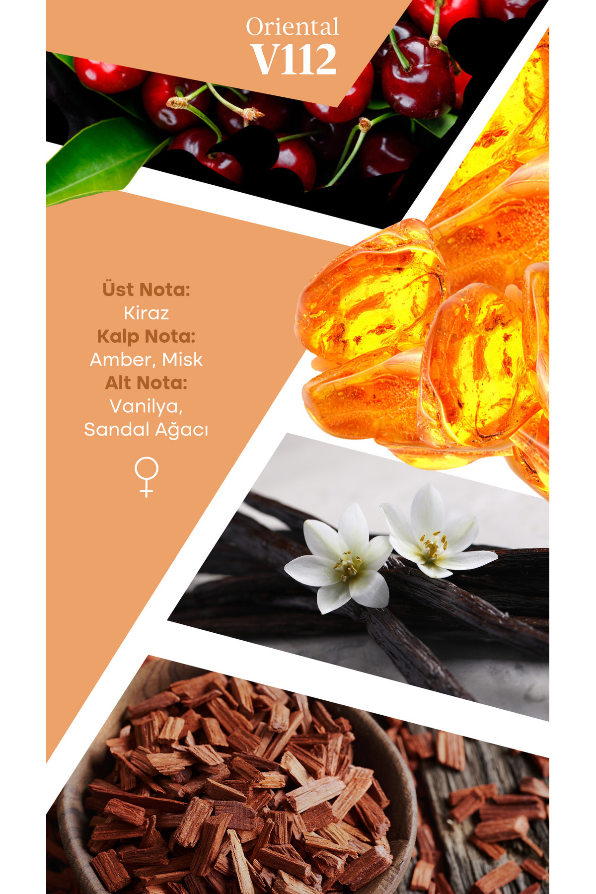 Mad Parfüm 2 Adet 50 ml V112 Selective Kadın Parfüm Seti - Görsel 2