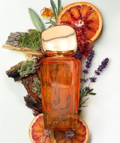 Imprime Flâner Edp Kadın Parfüm 50ml | Oryantal, Çiçeksi | Narenciye, Lavanta, Safran, Adaçayı, Amber, Sedir - Görsel 2