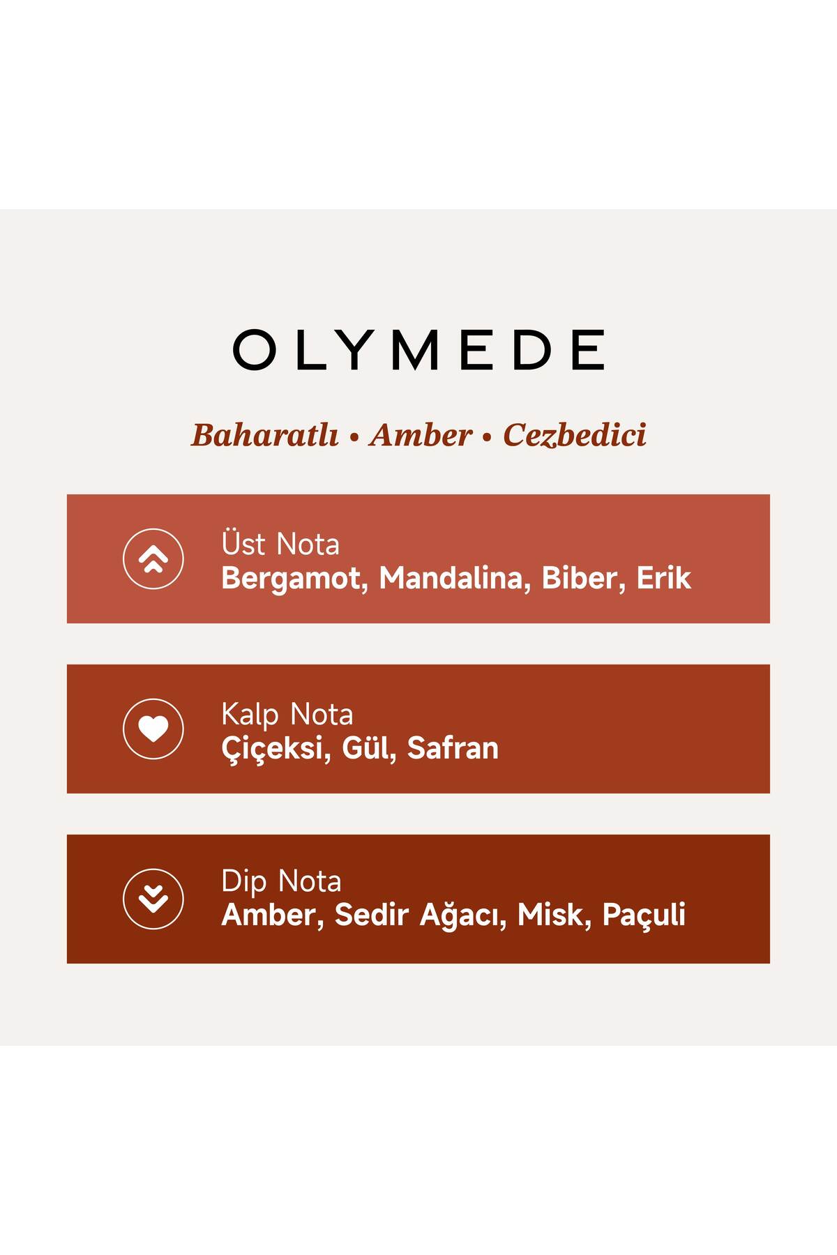 Mad Parfüm Mad Olymede 100 ml Unisex Parfüm | Baharatlı . Amber . Cezbedici - Görsel 2