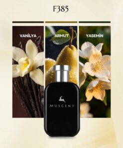 MUSCENT F385 Paradoks Int 50 ml.