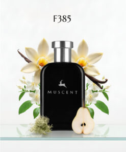 Alternative view of MUSCENT F385 Paradoks Int 50 ml.