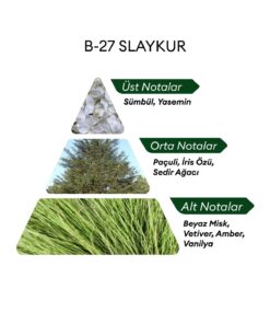 Alternative view of David Walker B27 Slaykur 50 ml Kadın Parfüm | Citrus