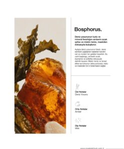 Alternative view of Royal Platinum Bosphorus 100 Ml Niche Parfüm Deniz Tuzu Bergamot Misk Ferah Yoğun