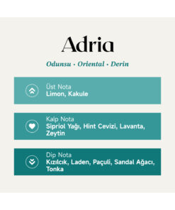 Alternative view of Mad Parfüm Mad Adria 100 ml Unisex Parfüm | Odunsu . Oriental . Derin