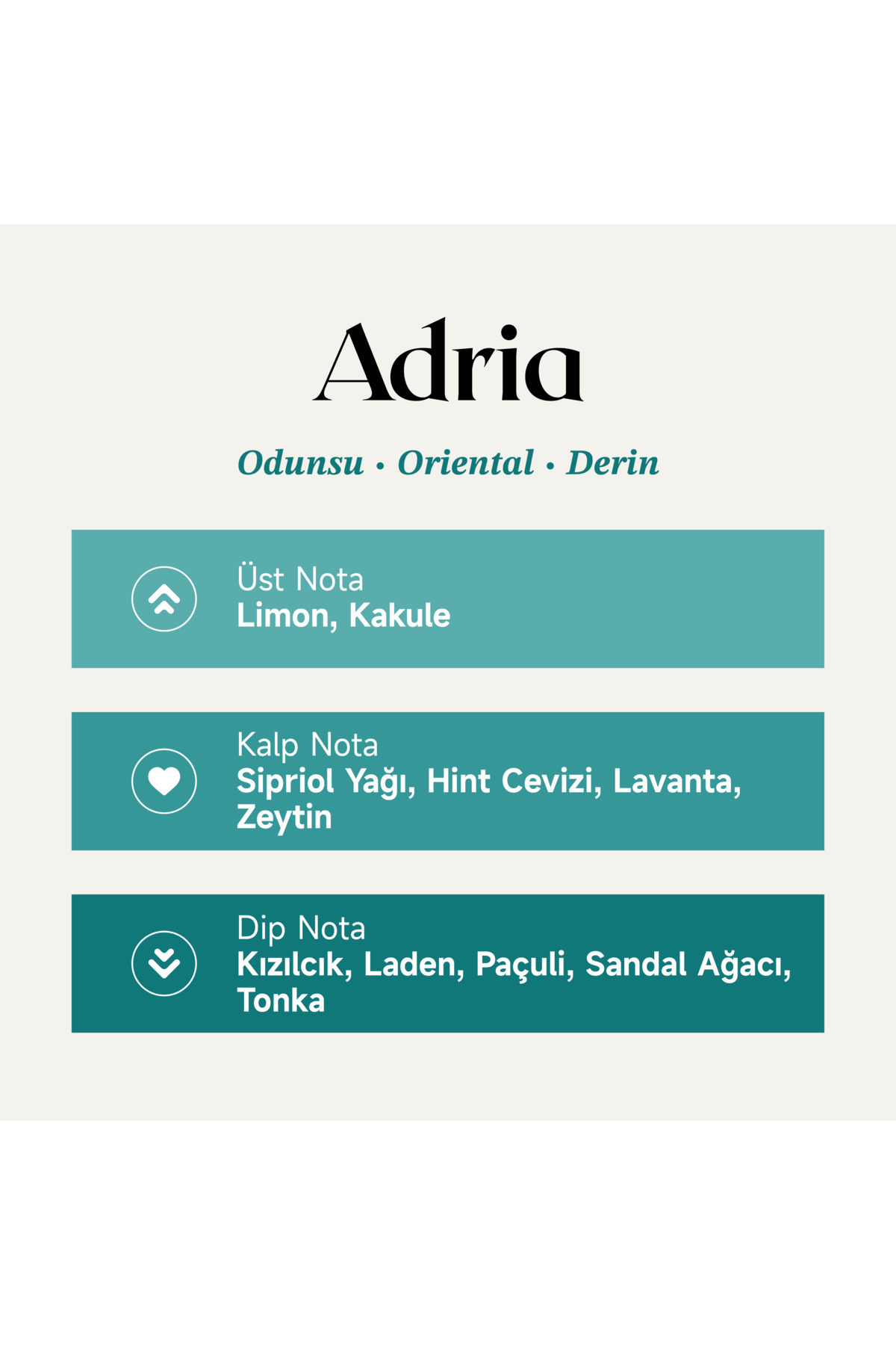 Mad Parfüm Mad Adria 100 ml Unisex Parfüm | Odunsu . Oriental . Derin - Görsel 2