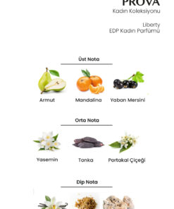 Alternative view of Prova Liberty Edp Çiçeksi Kadın Parfüm 120 ml