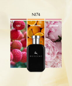 MUSCENT N174 F Narcotique 50 ml.