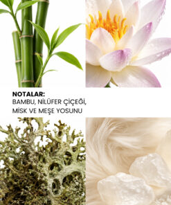 Alternative view of ixora K317 Omny Kadın Parfüm 100 ml Edp