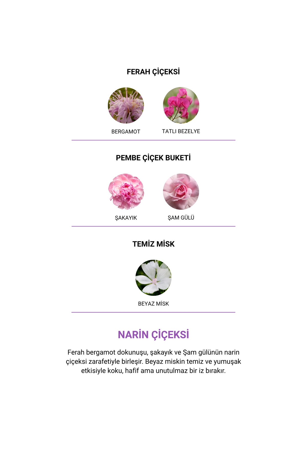 A'mentia Nera EDP 50 ml Kadın Parfüm - Görsel 2
