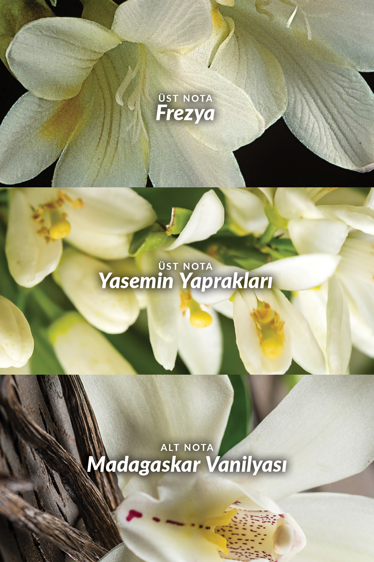Avon Far Away Kadın Parfüm Edp 30 Ml. - Görsel 2