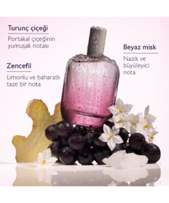 Alternative view of Caudalie Thé des Vignes Aromalı Parfüm 50 ml