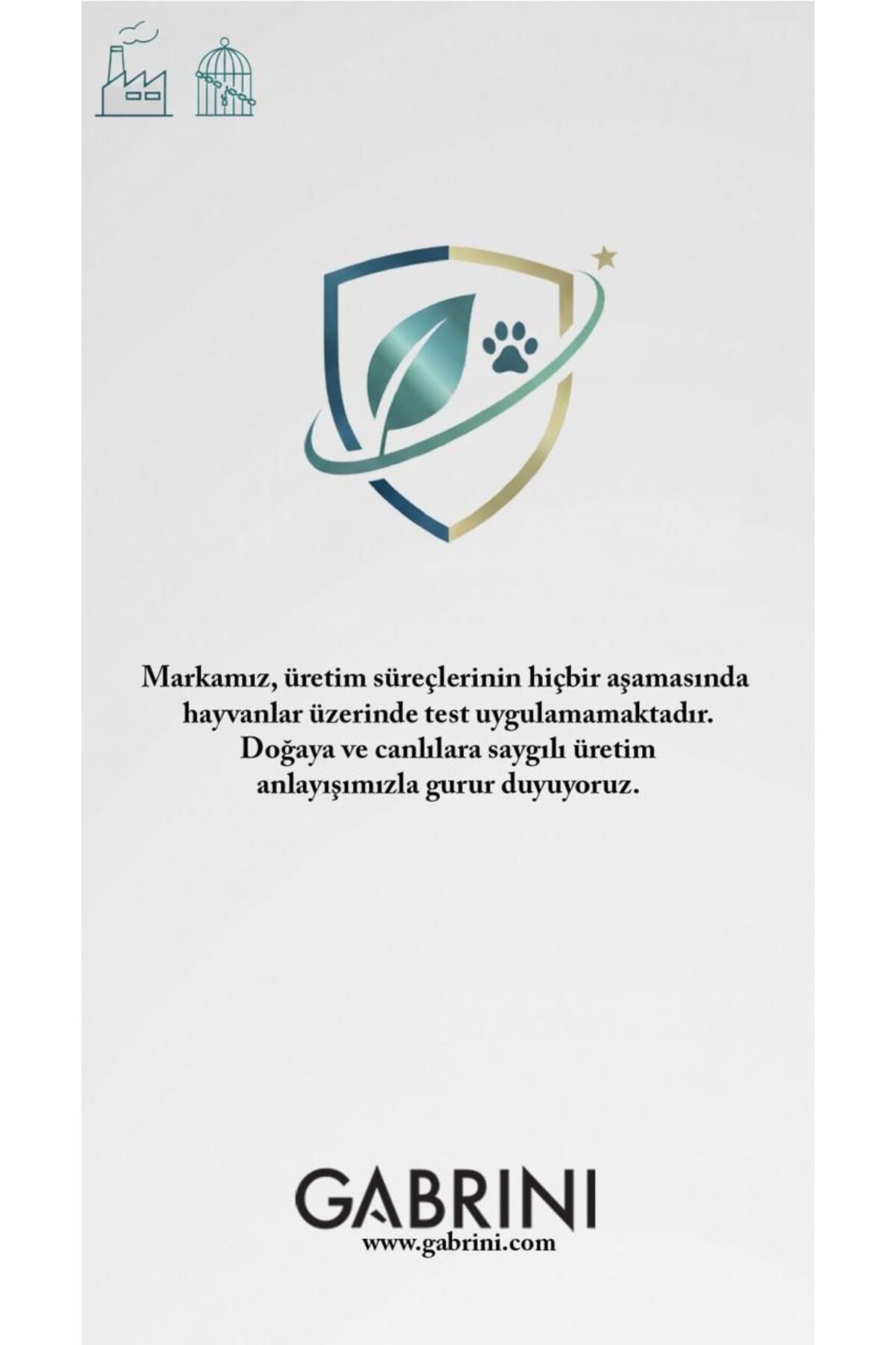 Gabrini Pure Love Kadın Parfüm 50 ml - Görsel 2