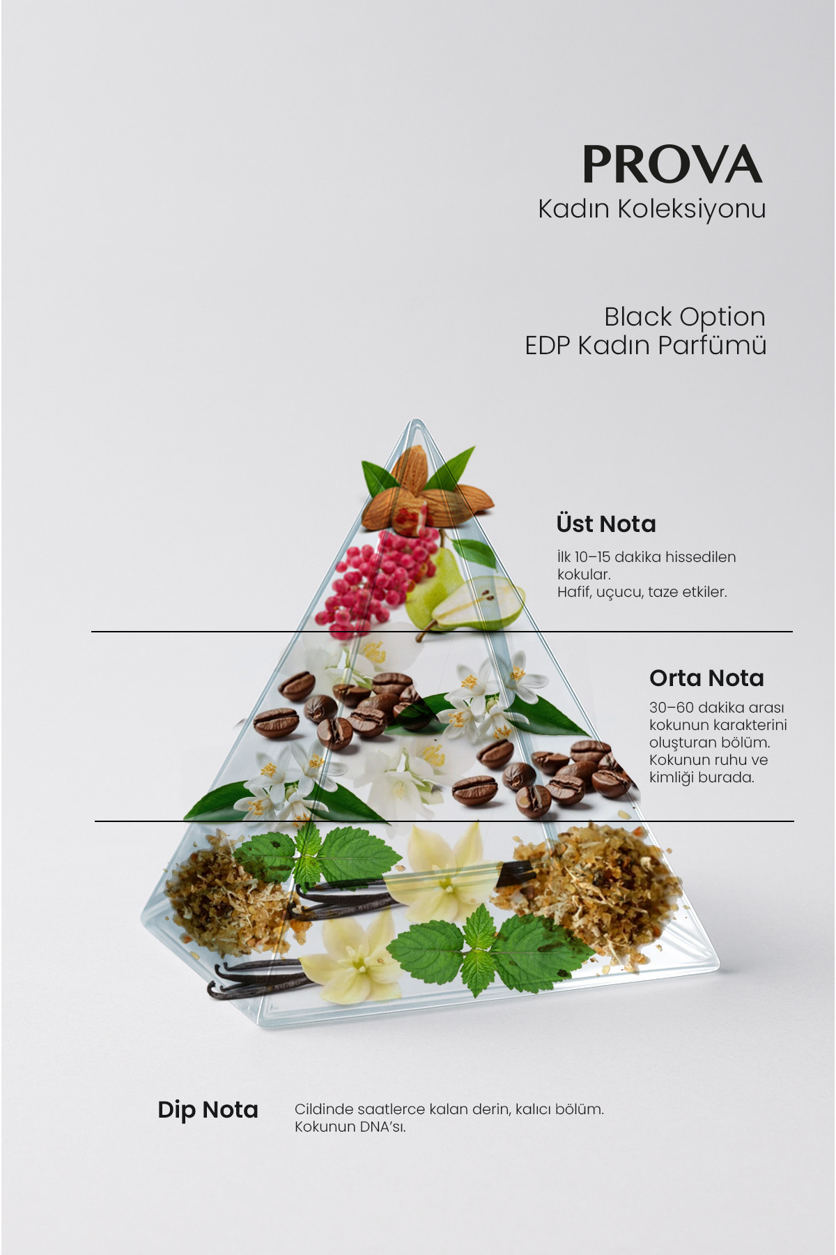 Prova Black Option Edp Oriental Kadın Parfüm 120 ml - Görsel 2