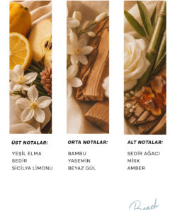 Alternative view of h.OLA Beach Exrait de Parfum | Kadın Parfümü 100 mL