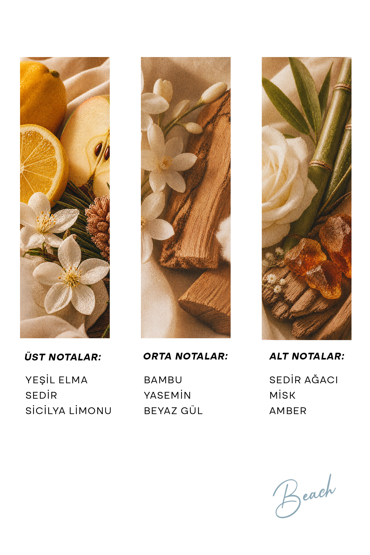 h.OLA Beach Exrait de Parfum | Kadın Parfümü 100 mL - Görsel 2