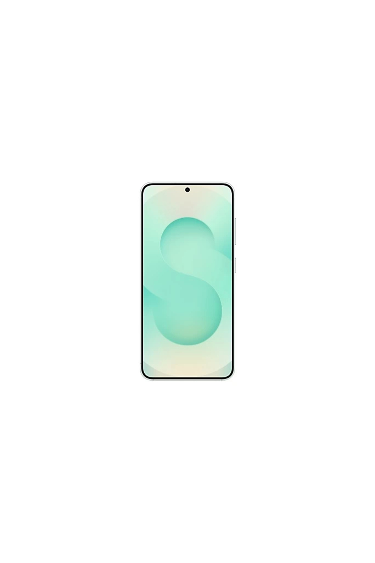 Samsung Galaxy S25 256 GB Mint Yeşili - Görsel 2